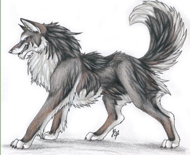 Рисунки Волков