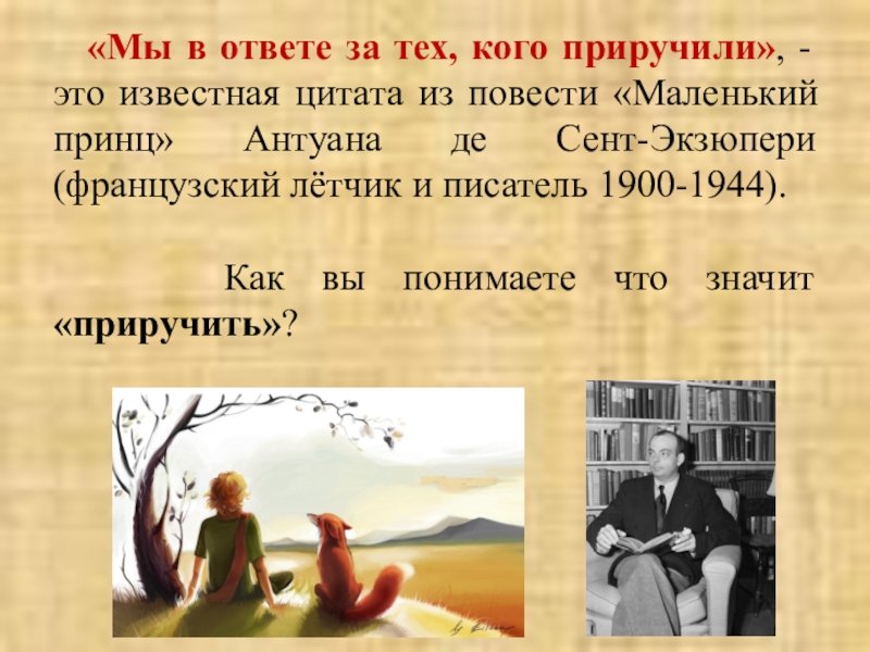 Мы в ответе за тех кого приручили маленький принц