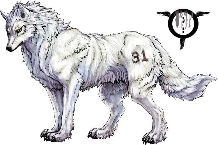 Волк рисунок