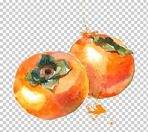 Фрукты нарисованные акварелью