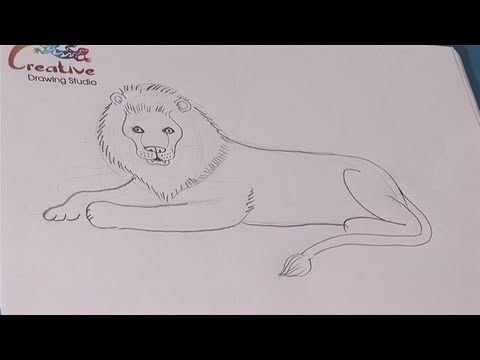 Лев и собачка легкие