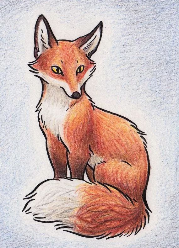 Красивые рисунки лисы