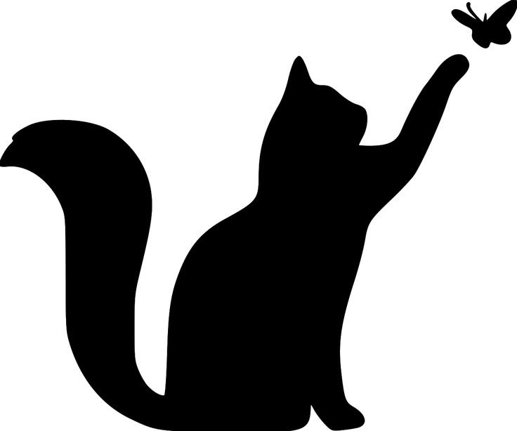 Черная кошка силуэт