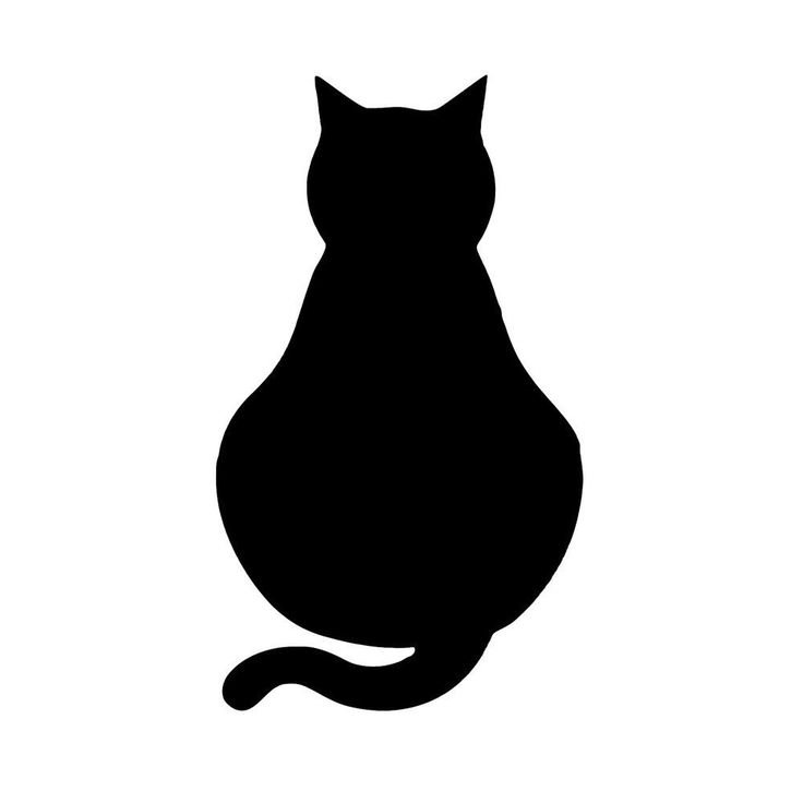 Кошачий силуэт