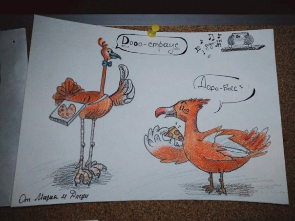 Додо рисунок