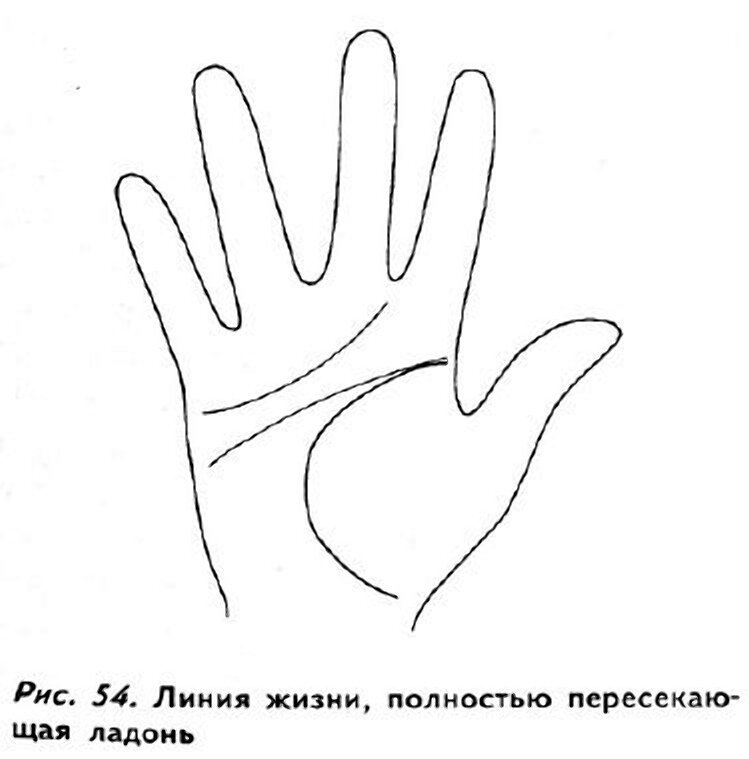 Линия жизни на ладони