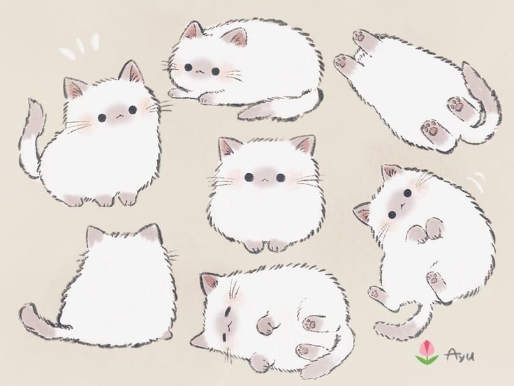 Рисунки котиков