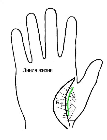 Длина линии жизни и Продолжительность жизни