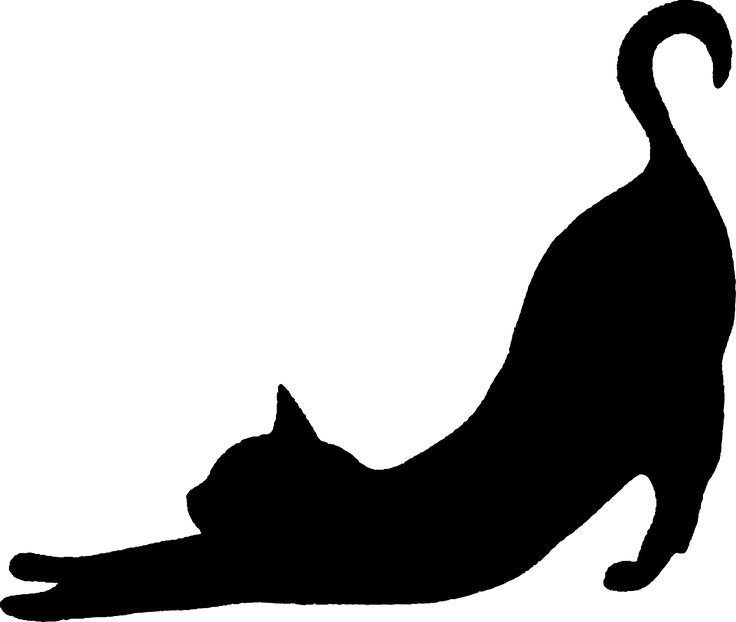 Силуэты котов