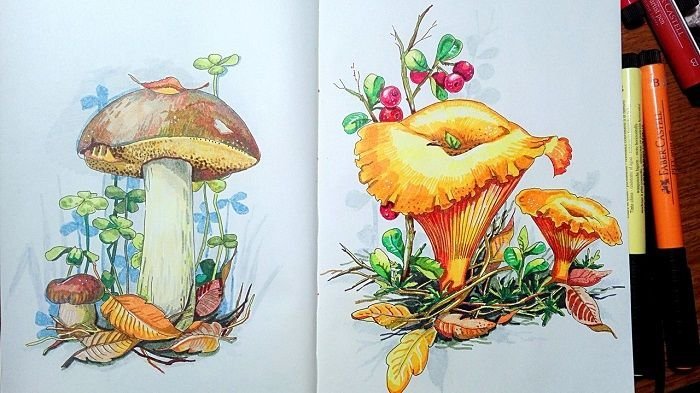 Грибы скетч