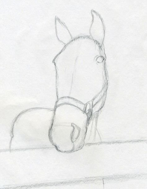 Лошадь рисунок карандашом