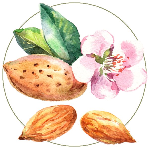 Миндаль акварель