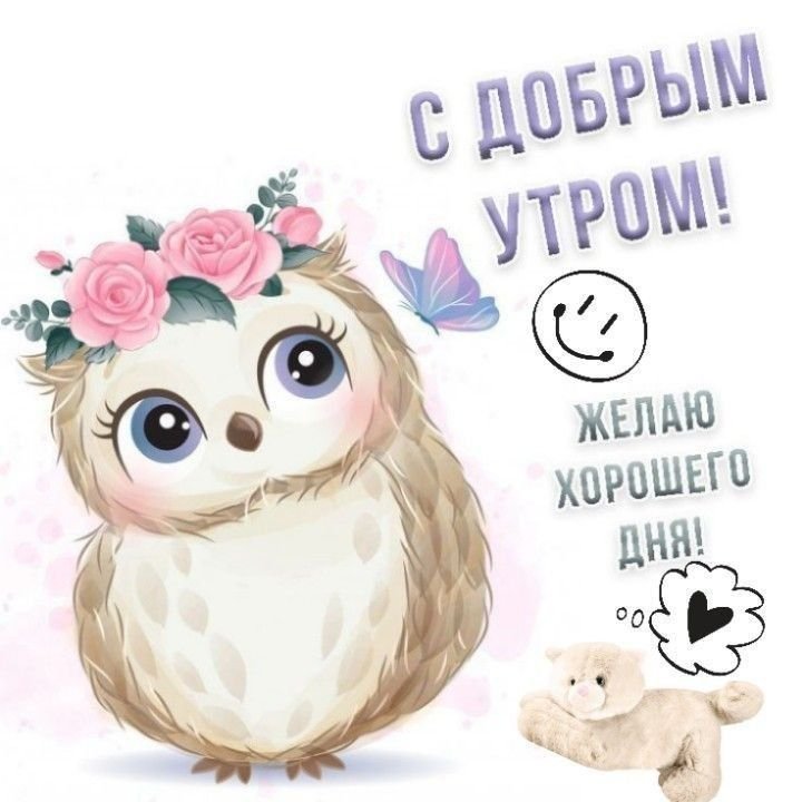 Открытки с добрым утром с совами