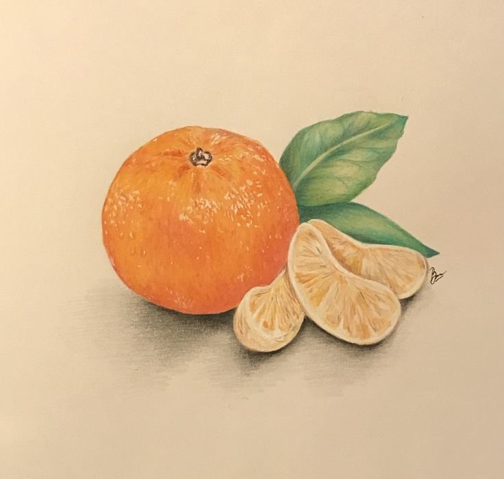 Мандарин акварелью