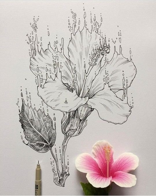 Рисование цветов линером
