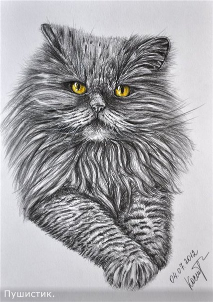Графические рисунки животных