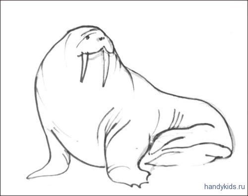 Нарисовать моржа