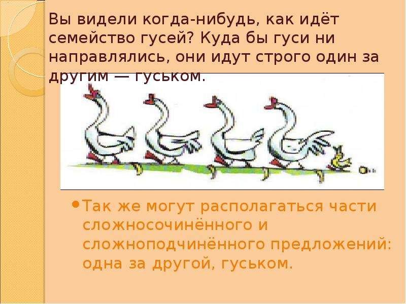 Гусь Лапчатый фразеологизм