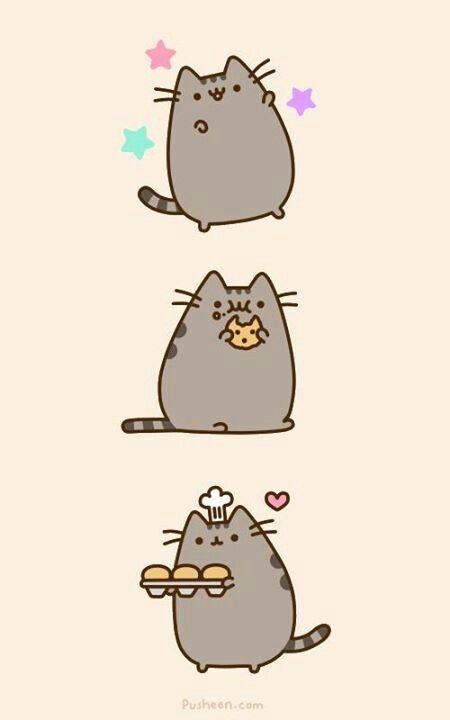 Милый серый котик