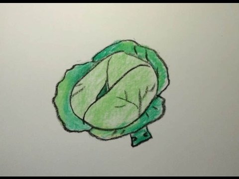 Капуста для рисования