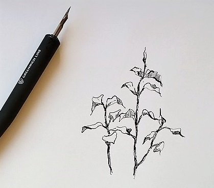 Тушь для рисования