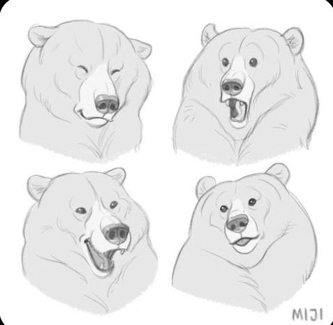 Белый медведь референс