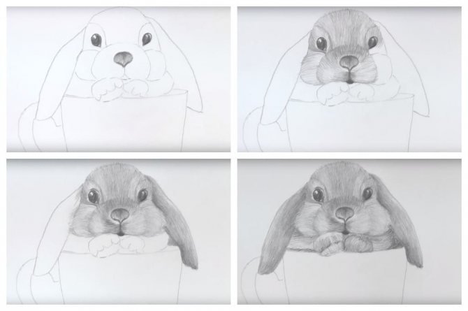 Рисунки карандашом для начинающих