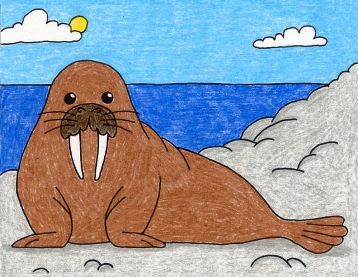 Рисование морж