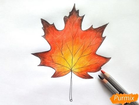 Кленовый лист цветными карандашами