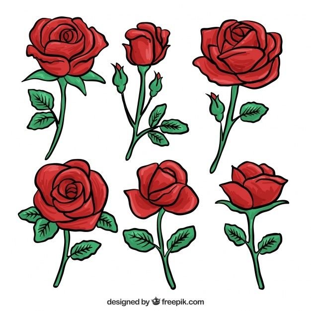 Рисунок розы для срисовки