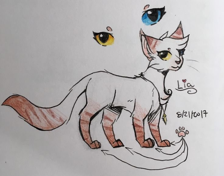 Коты Воители фломастерами