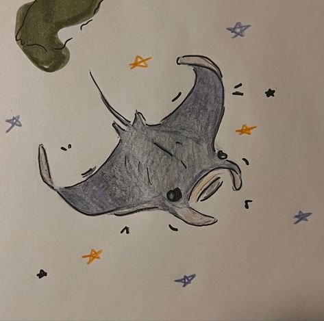 Скат