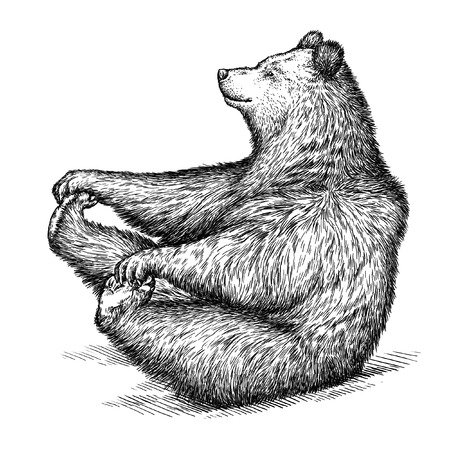 Медведь сбоку рисунок