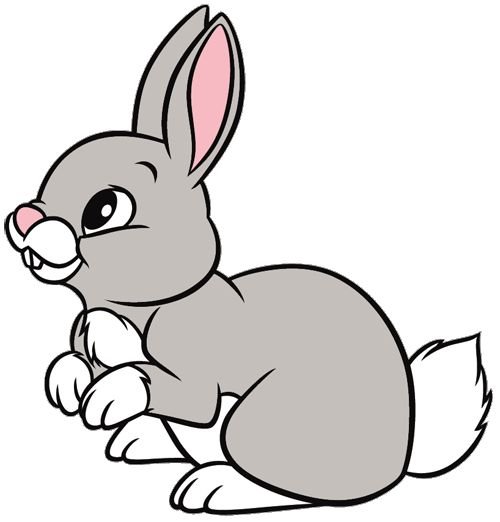 Cartoon рэббит