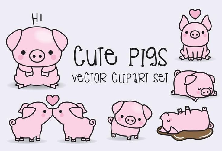 Милые свинки рисунки