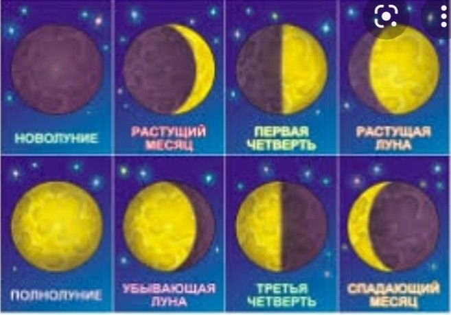 Стадии Луны для детей