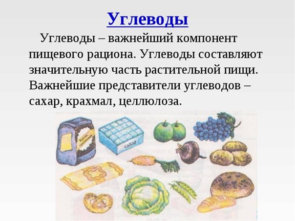 Белки жиры углеводы 6 класс