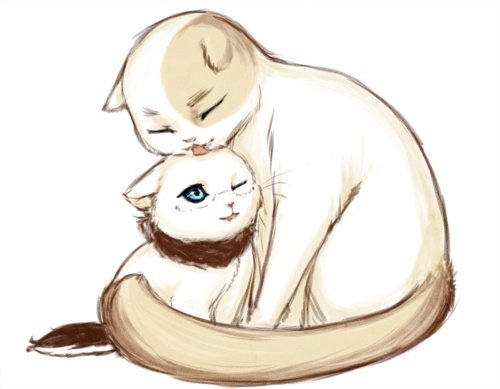 Милые котики для срисовки
