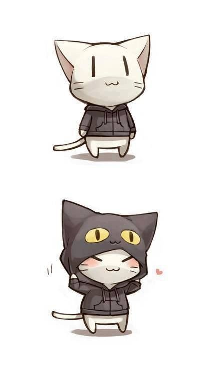 Аниме кот