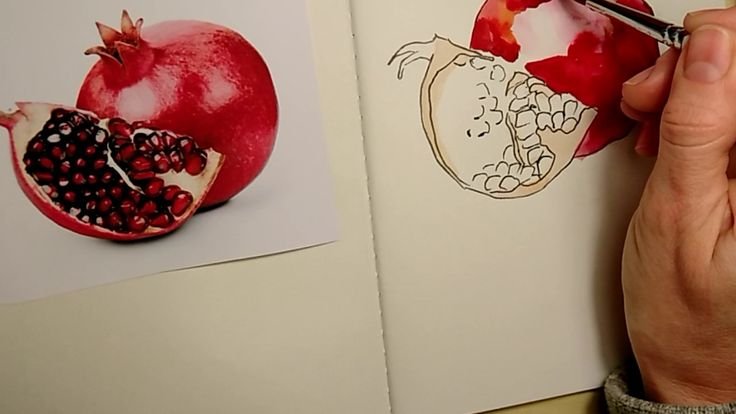 Гранат рисунок акварелью