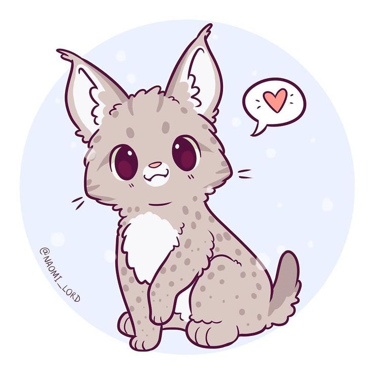 Наоми Лорд коты