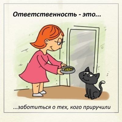 Ответственность юмор