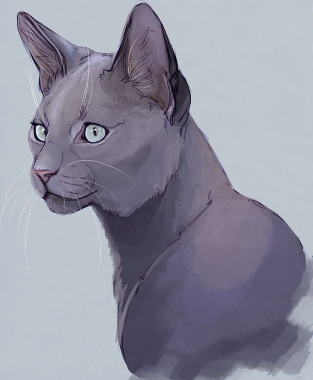 Кошки арты