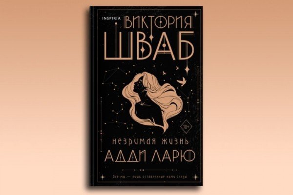 Незримая жизнь книга