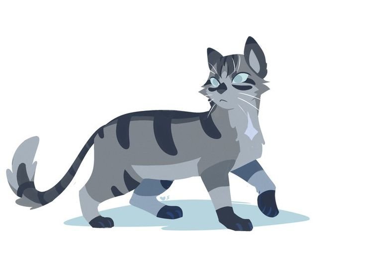 Коты Воители серая кошка