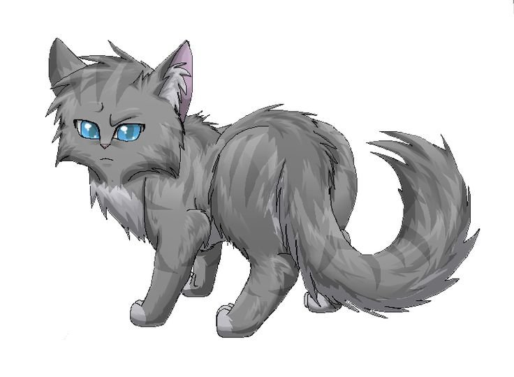 Коты Воители серая кошка