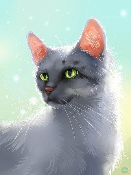 Коты Воители серая кошка