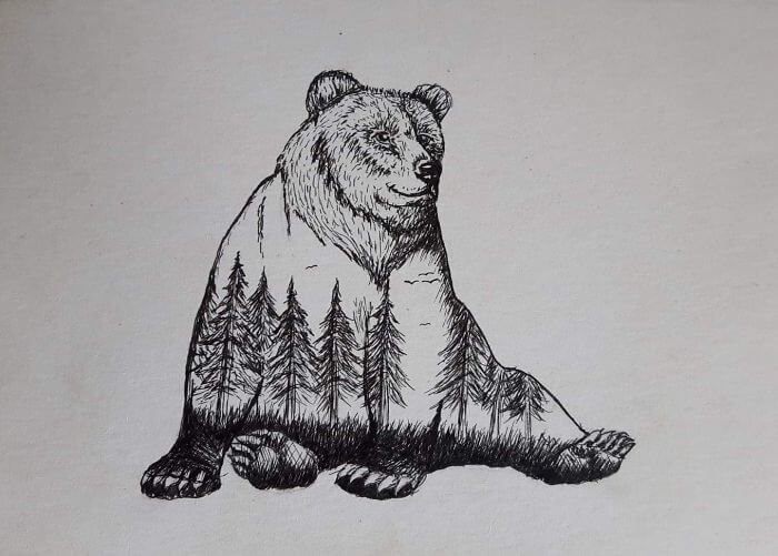 Рисунок медведя для срисовки