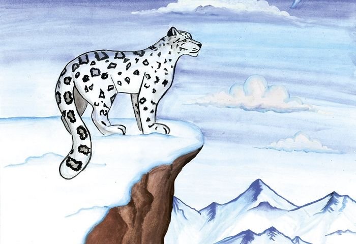 Ирбис для срисовки