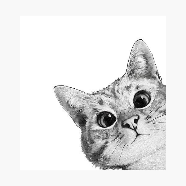 Кошка карандашом